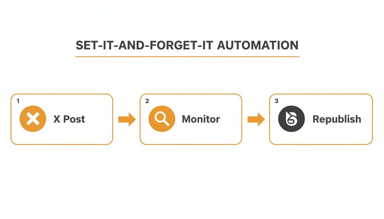 Automation workflow for cross-posting from X to Bluesky, including monitoring and republishing content.