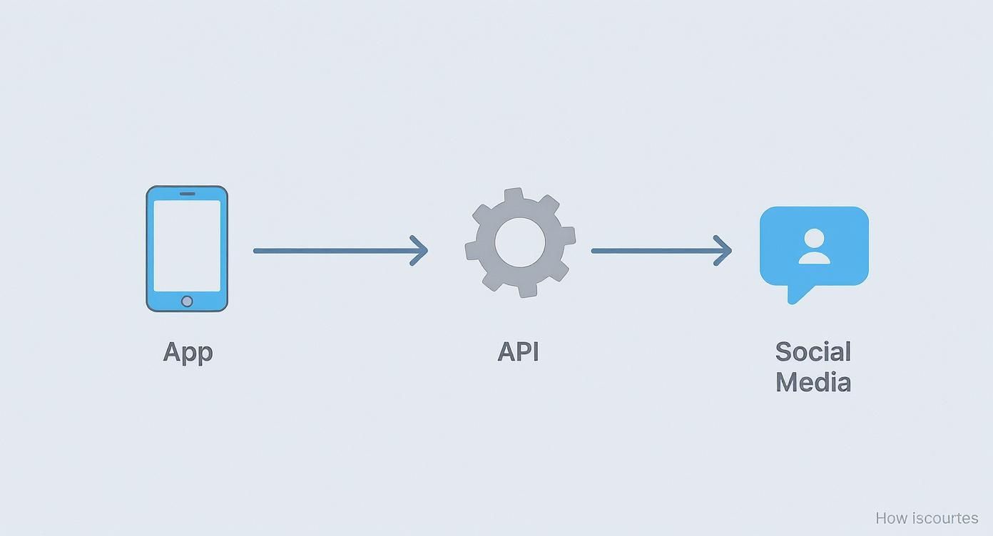 Diagram showing an app connecting to social media through an API, illustrating data flow.