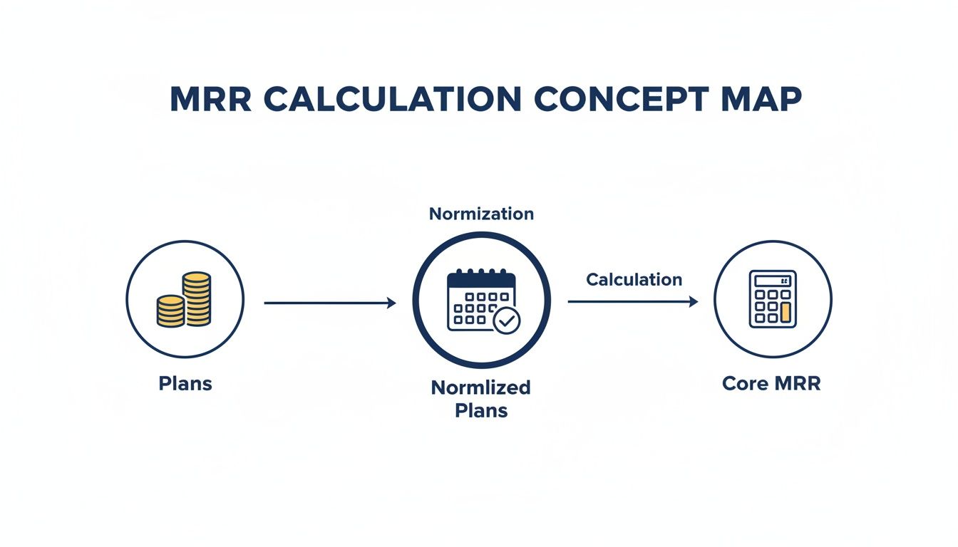Concept map illustrating the step-by-step process of Monthly Recurring Revenue (MRR) calculation.