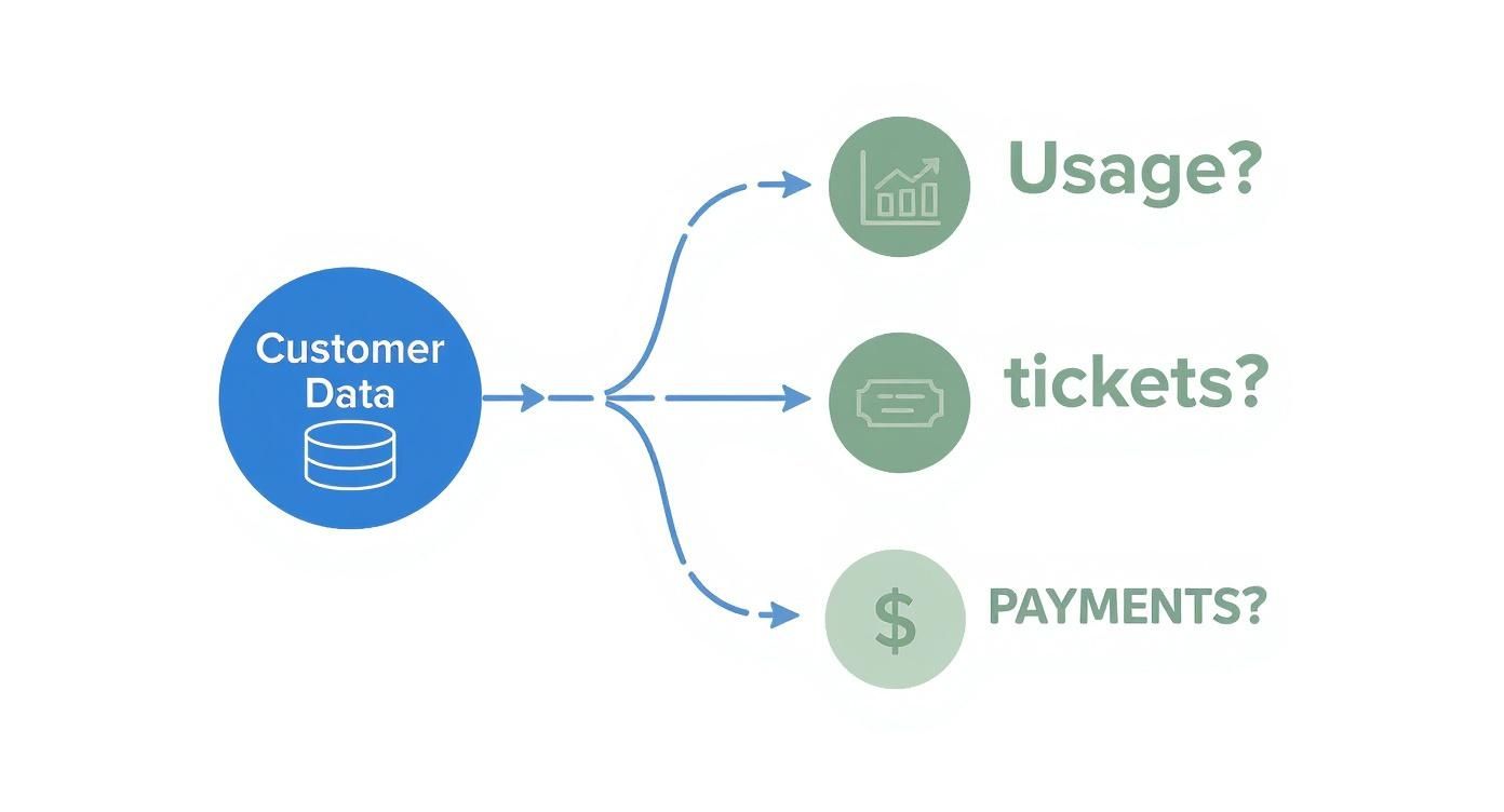 A diagram illustrating customer data branching out to usage metrics, support tickets, and payments.