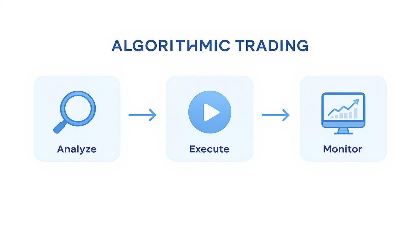 Algorithmic trading workflow diagram showing three steps: analyze data, execute trades, and monitor performance