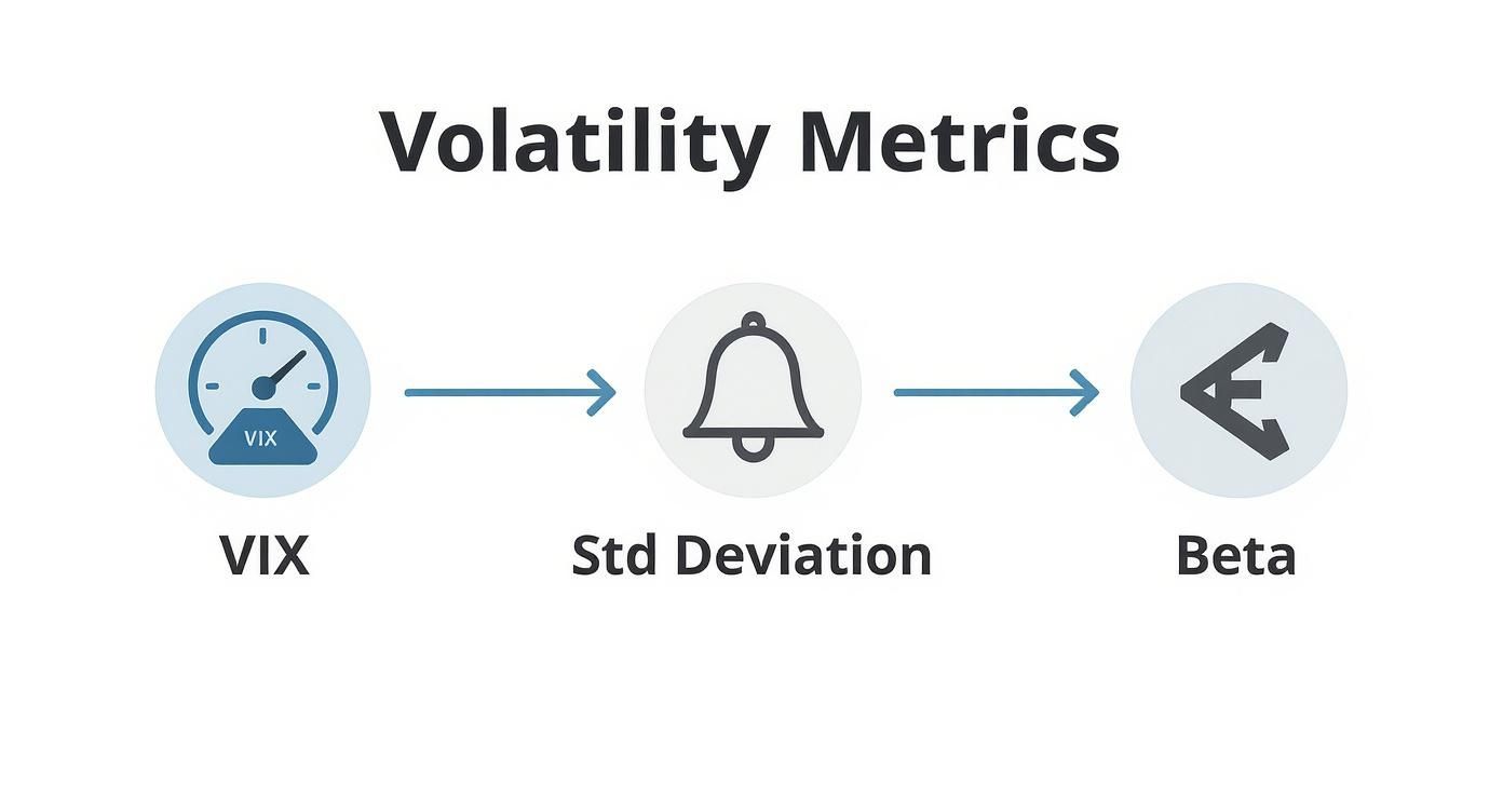 Infographic about what is market volatility