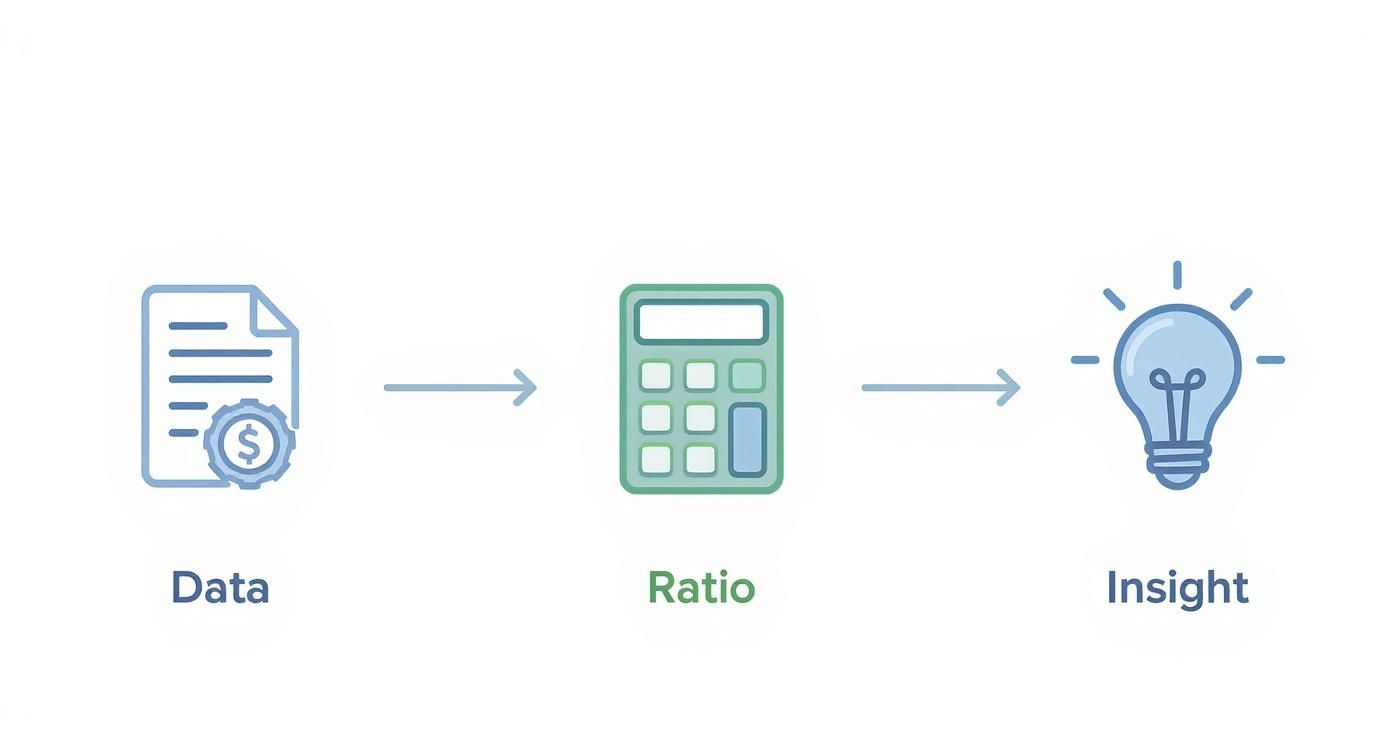 Diagram showing the process from financial data collection to ratio calculation and generating business insights.