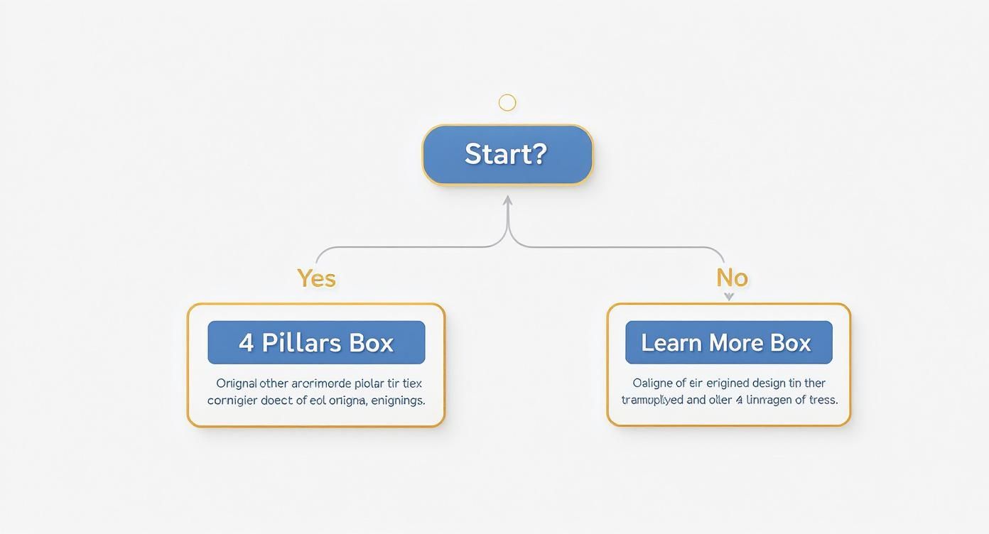 A flowchart showing a 'Start?' decision leading to '4 Pillars Box' or 'Learn More Box'.