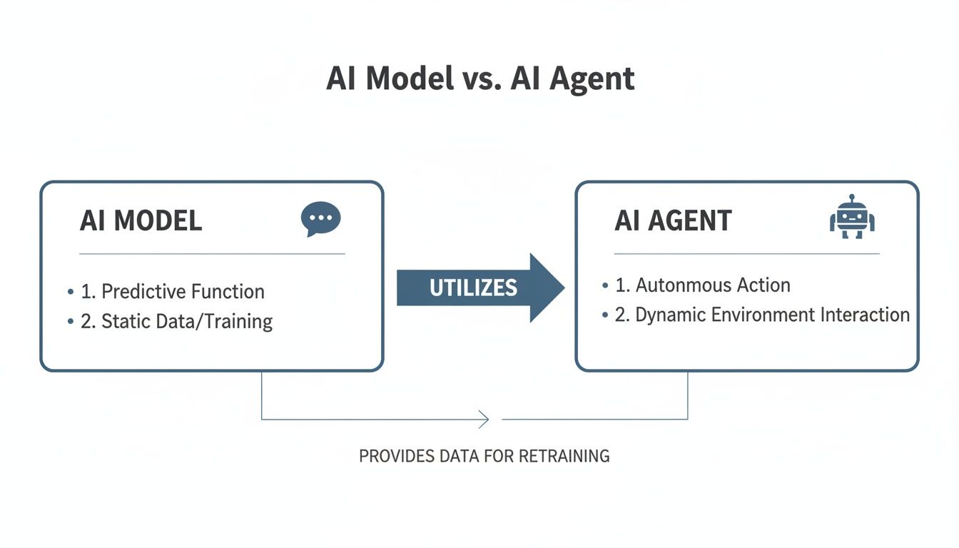 Diagram explaining AI Model vs. AI Agent, illustrating their interaction and data flow.