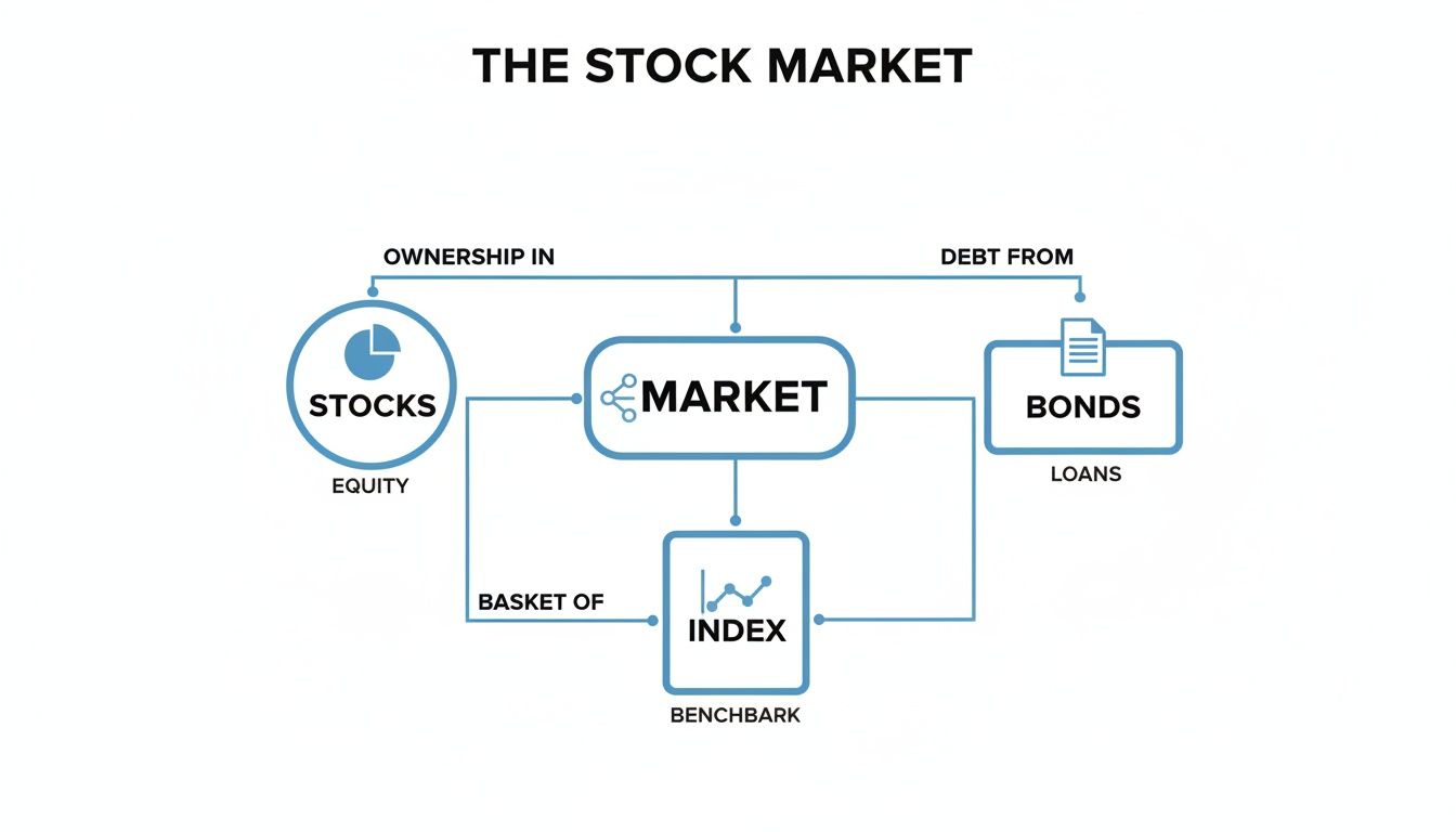 A flowchart illustrating the stock market, showing relationships between stocks, bonds, market, and index.