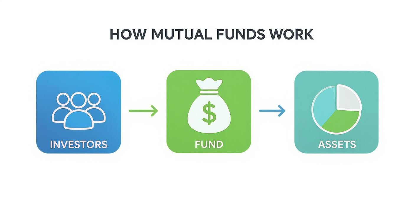 Infographic about what are mutual funds