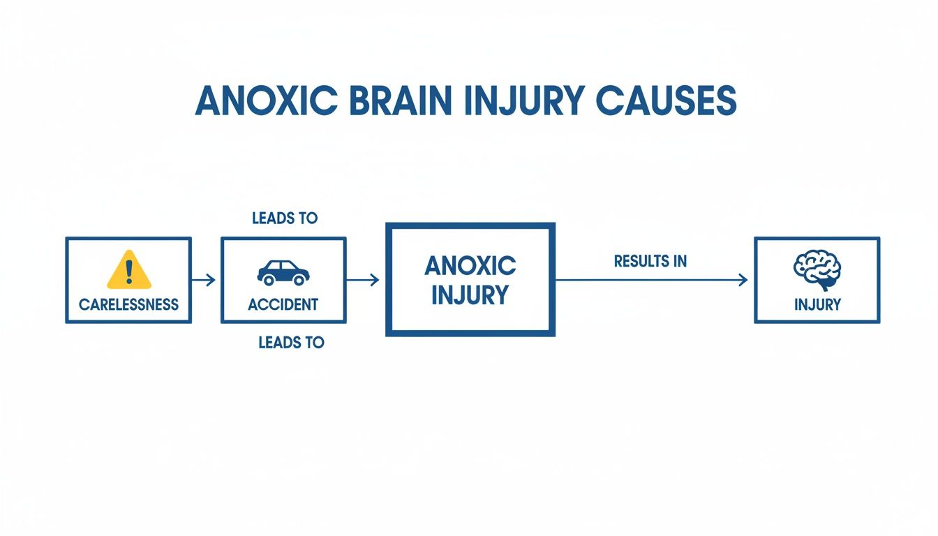 Flowchart explaining anoxic brain injury causes, showing carelessness leading to accidents, resulting in anoxic injury and brain damage.