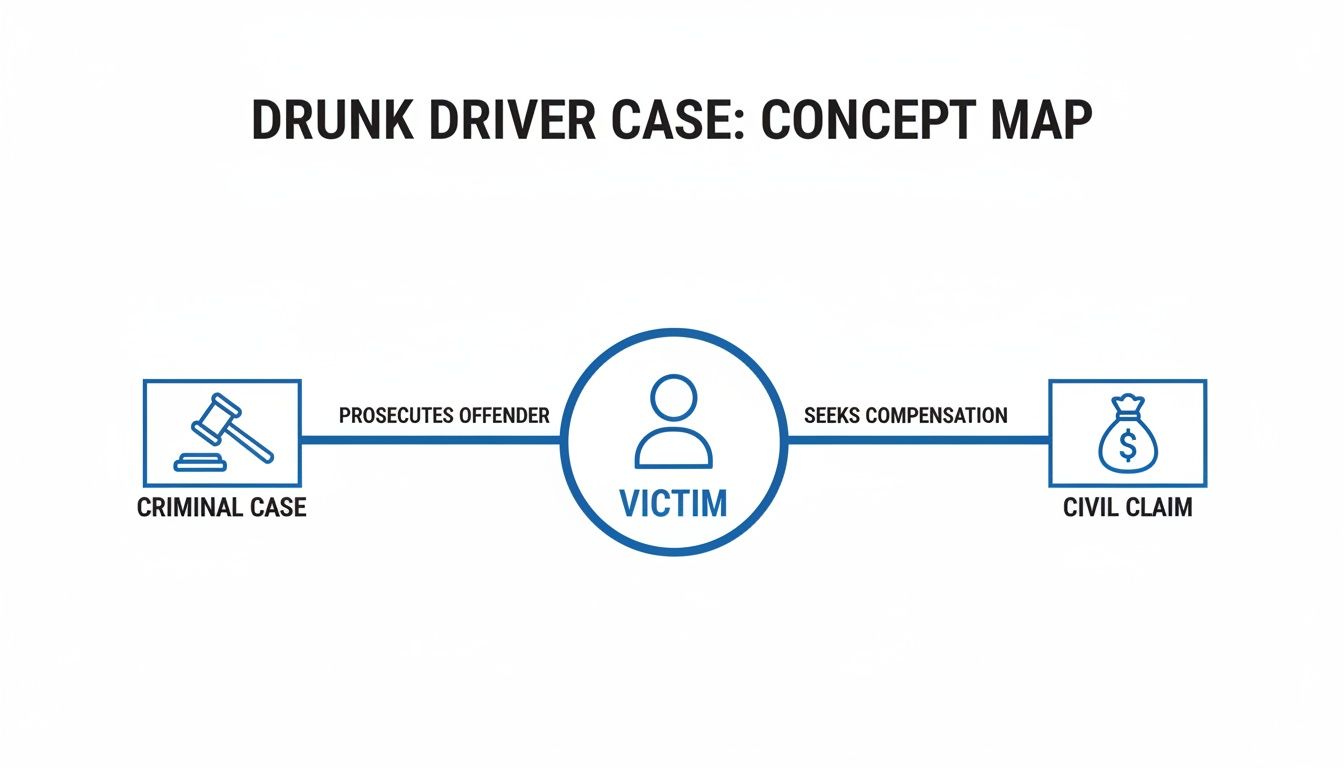 Concept map showing a drunk driver case, detailing criminal and civil legal paths for the victim.
