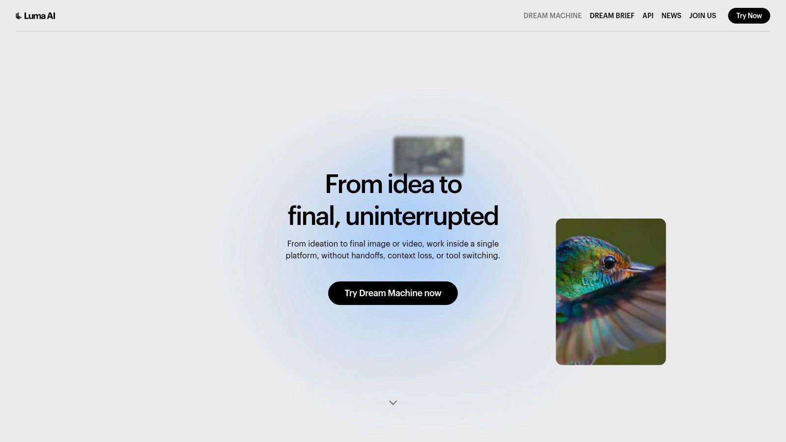 Luma AI Dream Machine interface