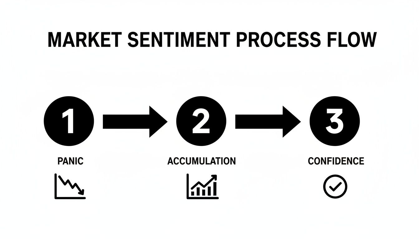 Market sentiment process flow diagram illustrating panic, accumulation, and confidence stages.