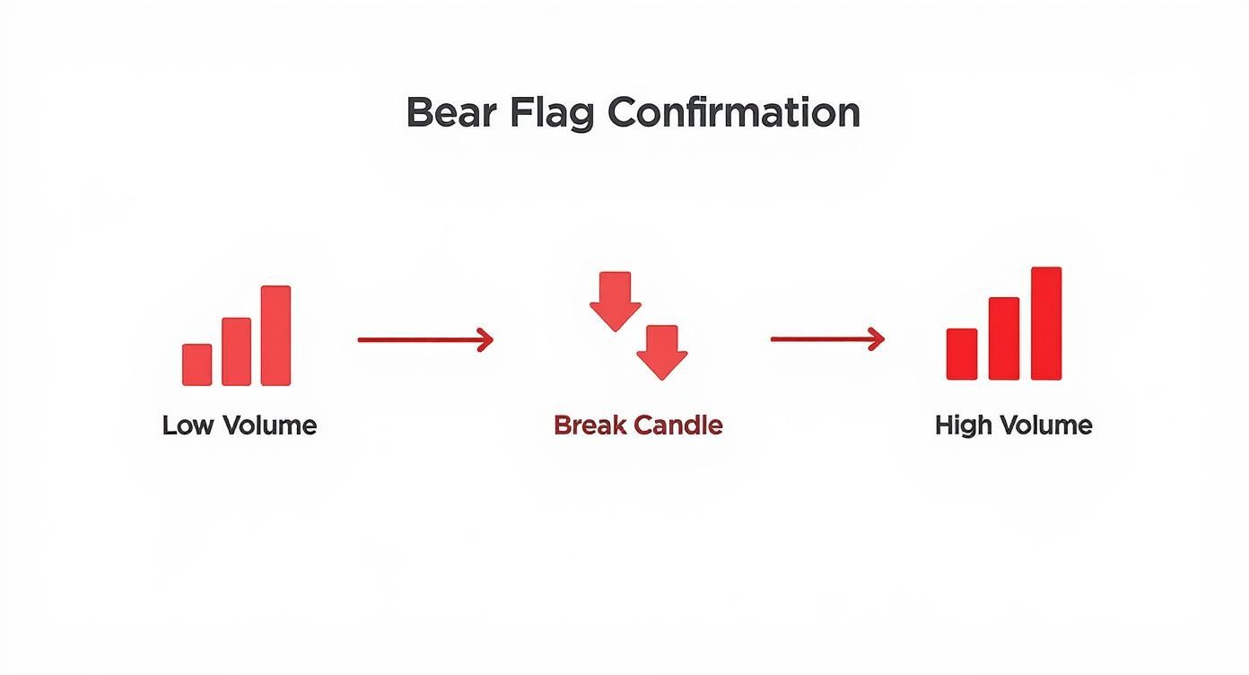 Infographic showing the process flow of Bear Flag Confirmation, with steps for Low Volume, a decisive Break Candle, and a surge in High Volume.
