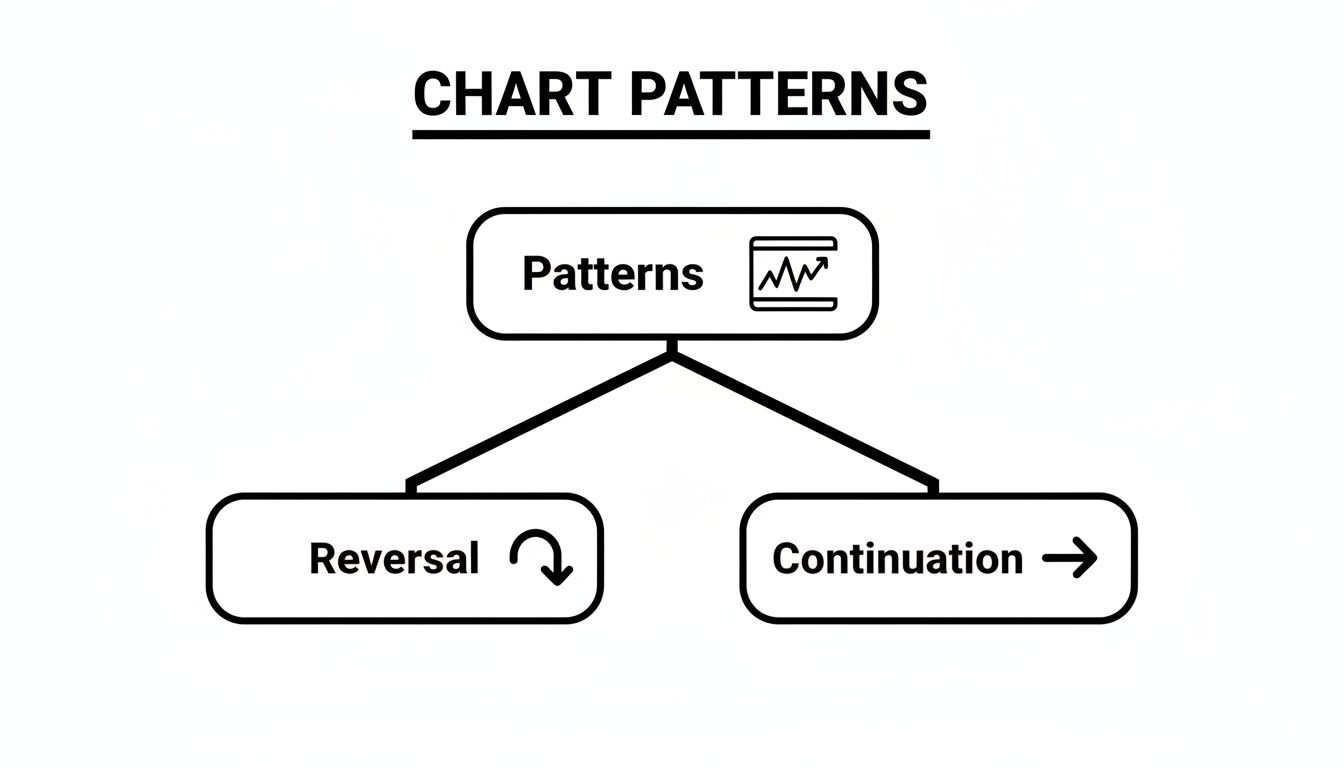 Flowchart illustrating chart patterns divided into reversal and continuation types for market analysis.