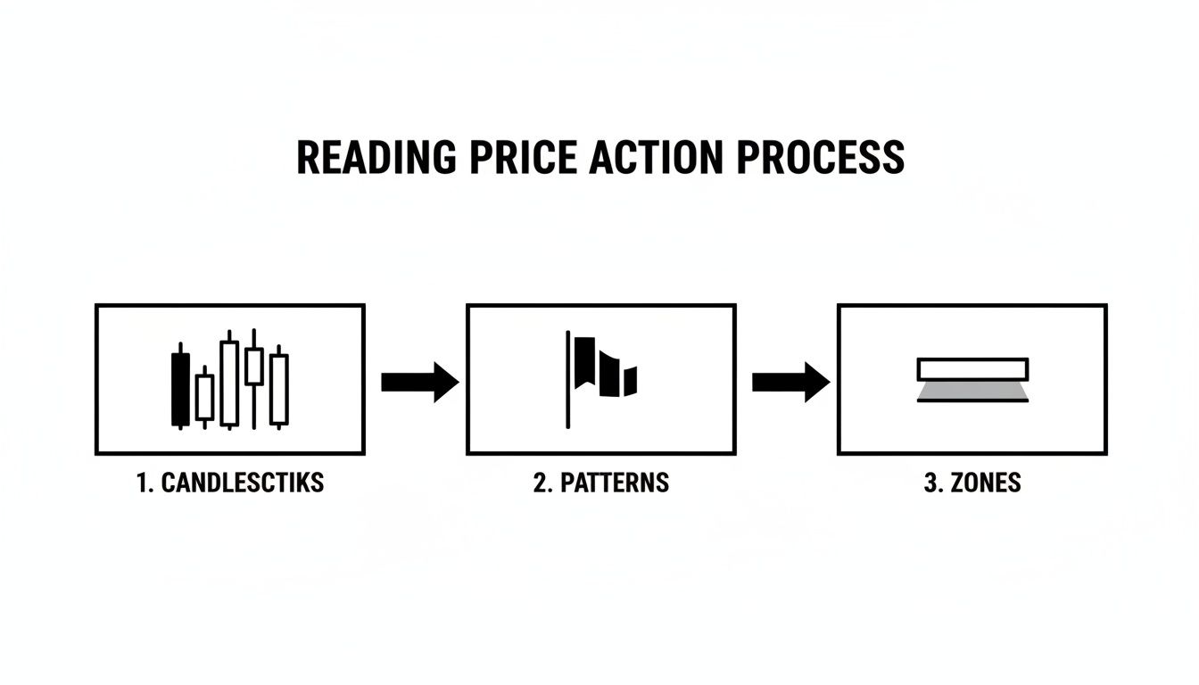 Flowchart illustrating the reading price action process, including candlesticks, patterns, and zones.