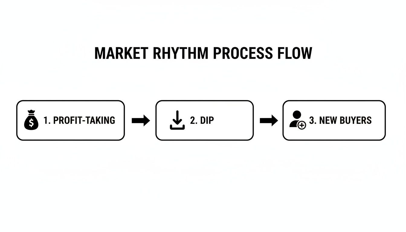 Market rhythm process flow diagram illustrating profit-taking, a subsequent dip, and the arrival of new buyers.