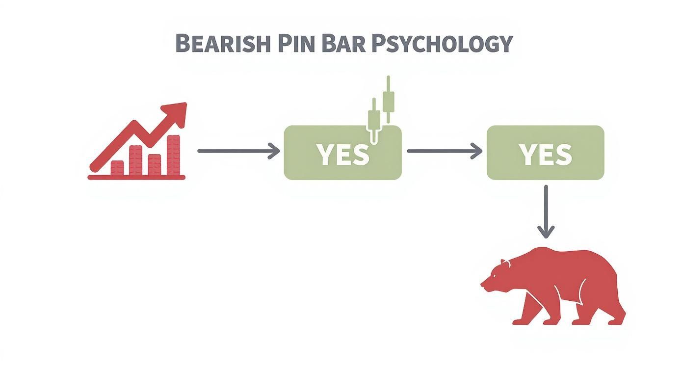 Infographic about bearish pin bar