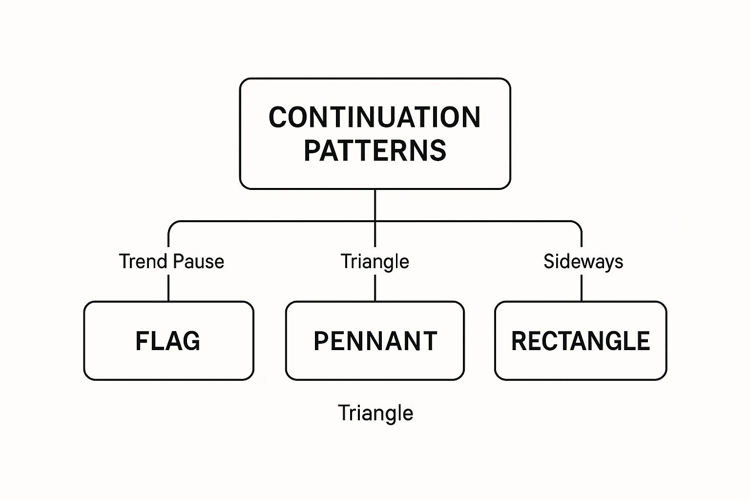 Infographic about candlestick patterns in forex