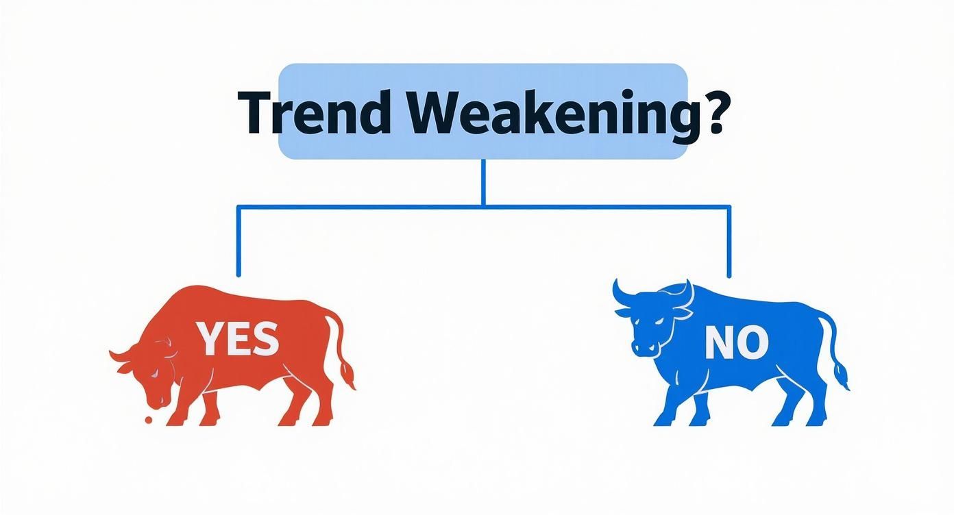A diagram asking 'Trend Weakening?' with a red bull for 'YES' and a blue bull for 'NO'.