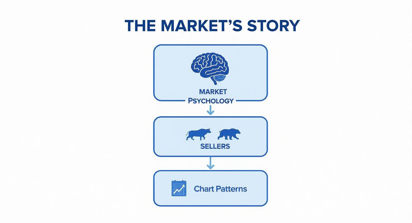 Infographic about trading chart patterns pdf