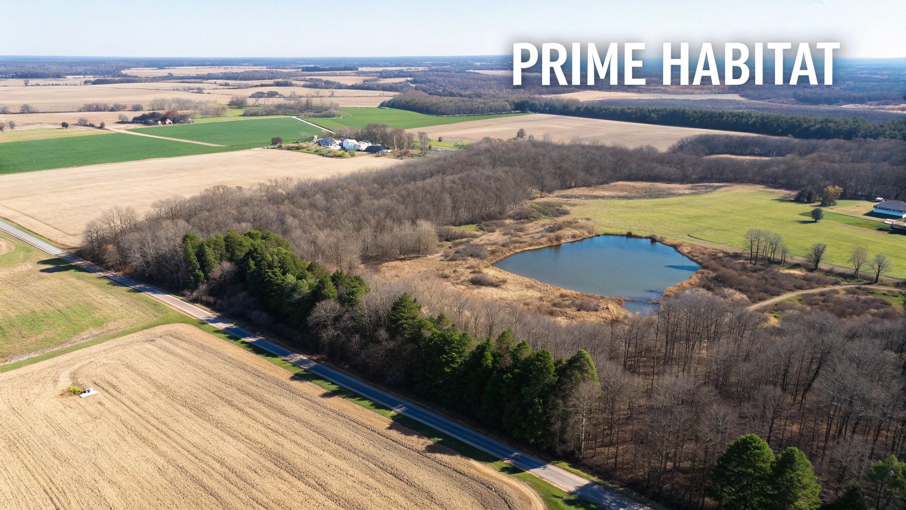 Expansive aerial view of diverse hunting land featuring woods, fields, a pond, and a road.