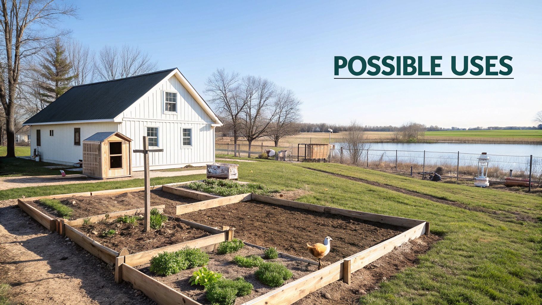 A white house with a dark roof, raised garden beds, a chicken, and a pond.