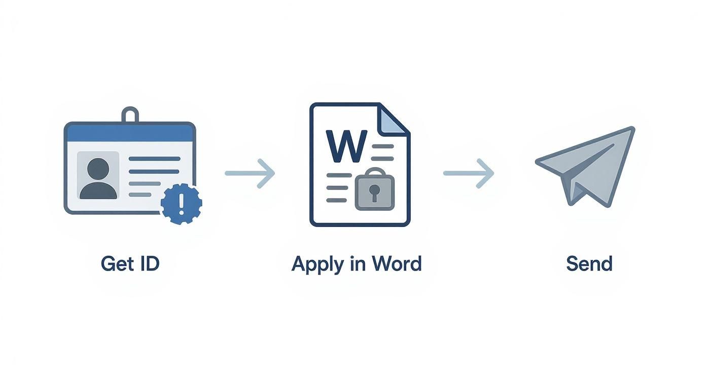 Three-step diagram showing getting an ID, applying in a secure Word document, and sending it.