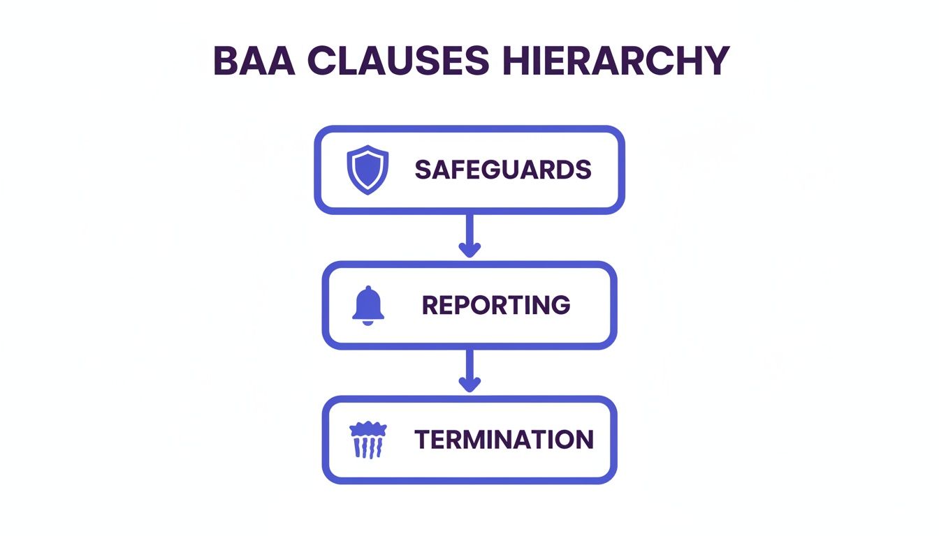 Hierarchy of BAA clauses outlining Safeguards, Reporting, and Termination steps in a process.