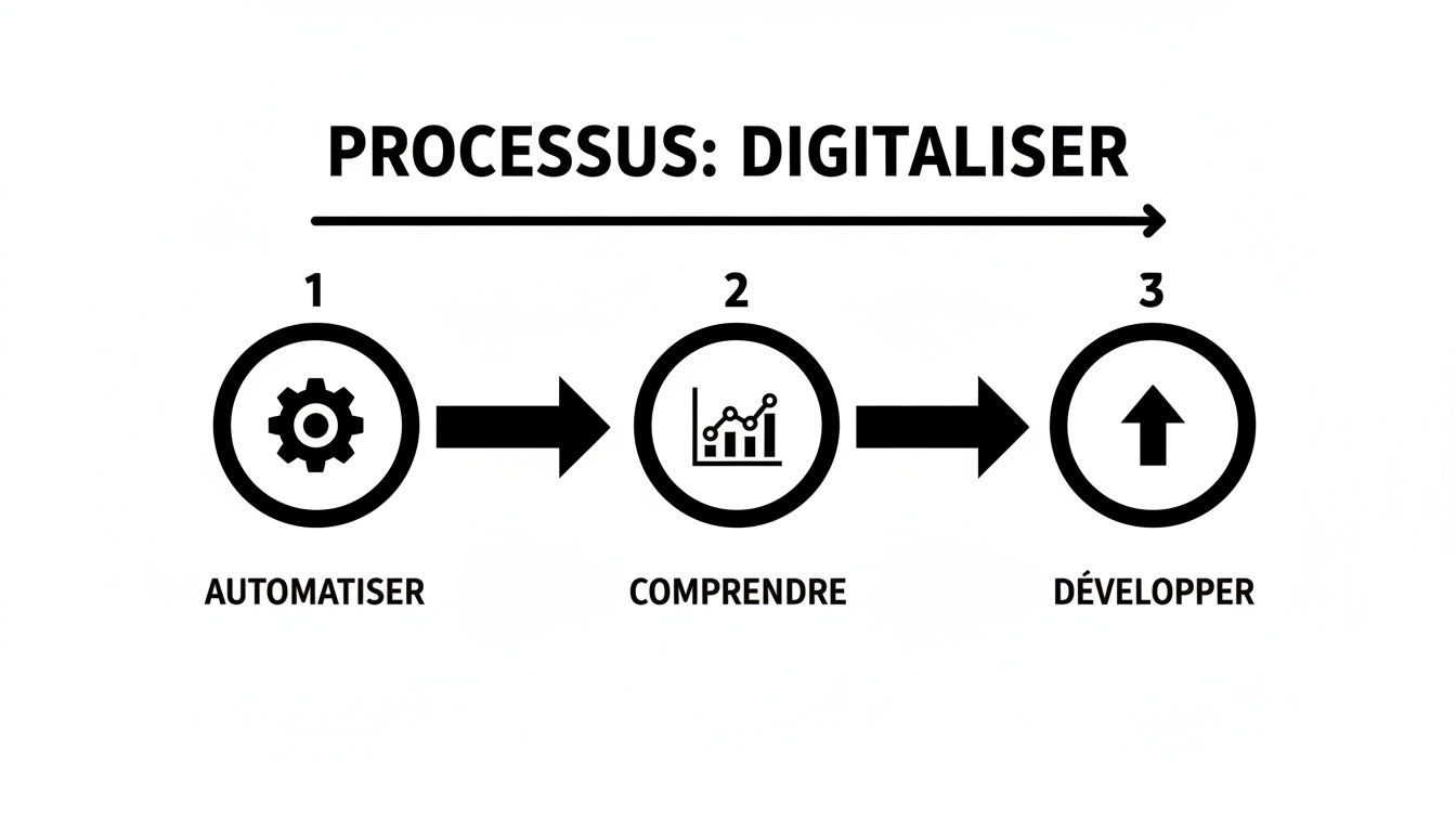 Infographie montrant le processus de digitalisation en 3 étapes: automatiser, comprendre et développer.