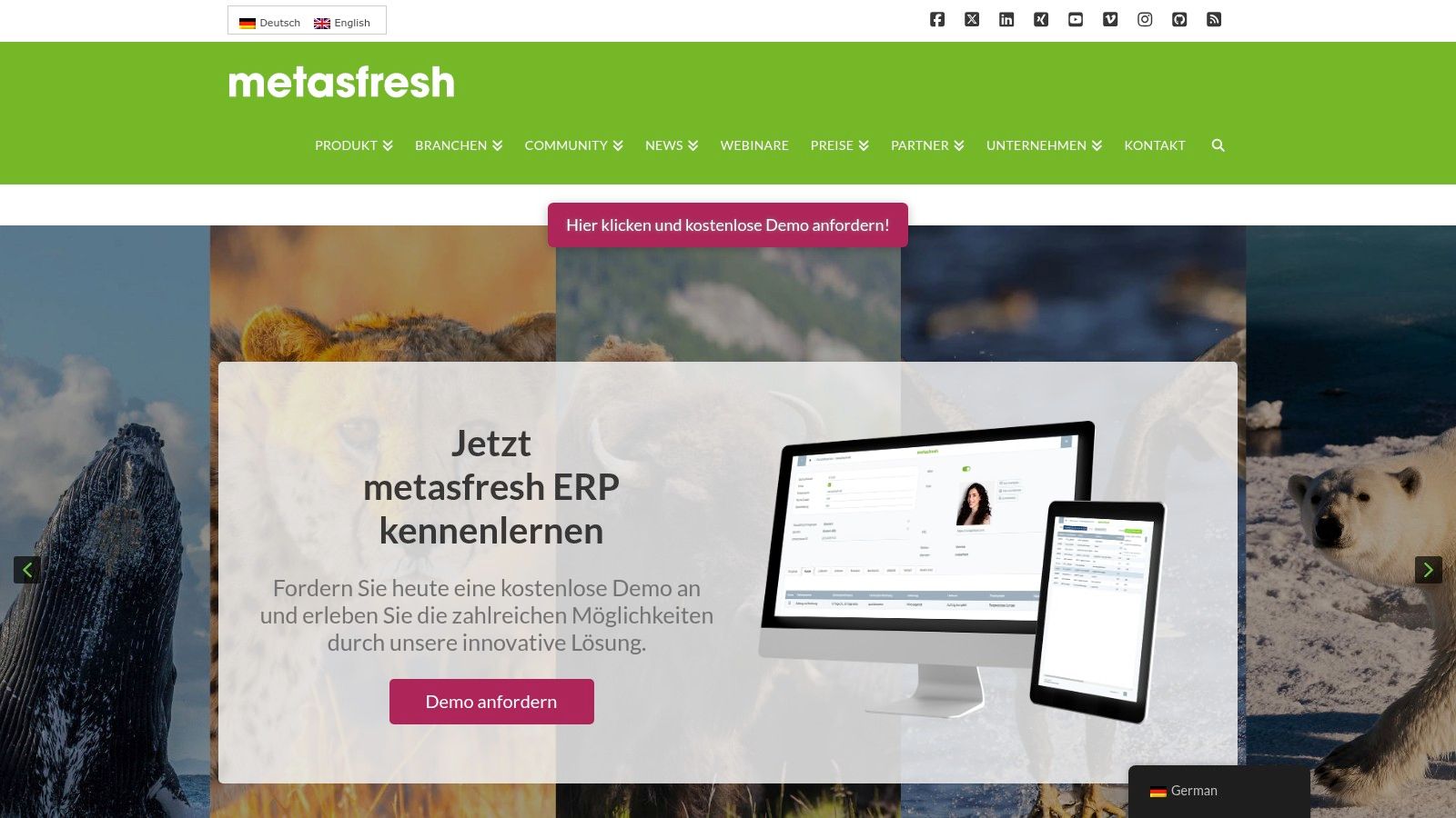 Metasfresh
