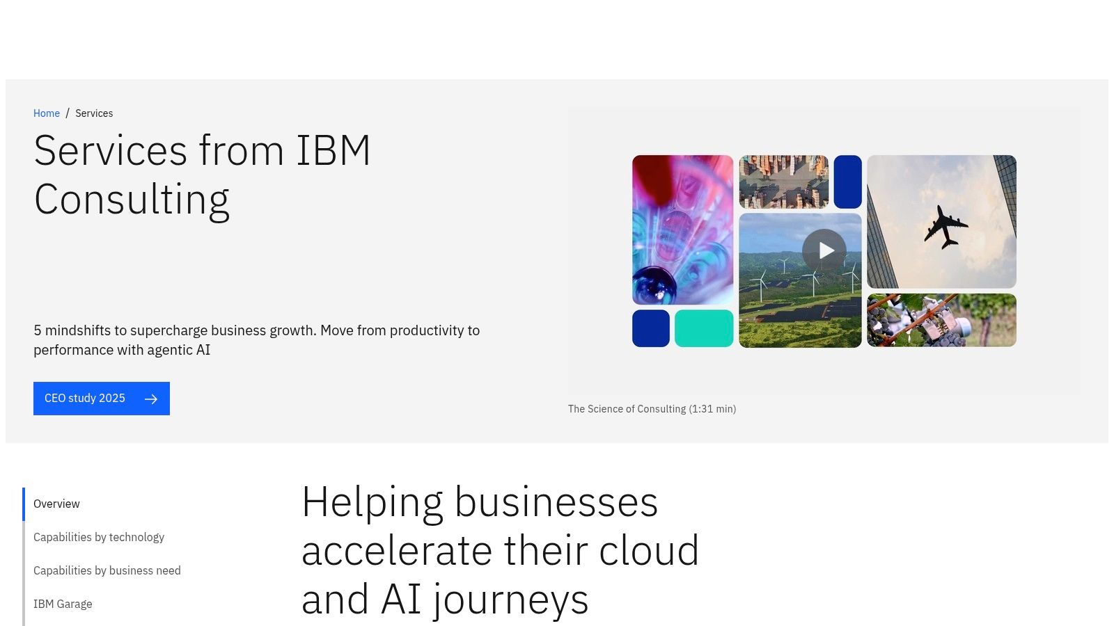 IBM Services