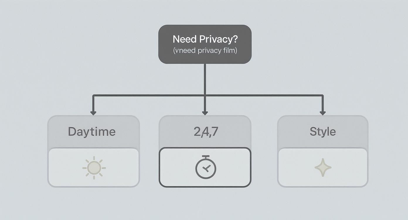 Infographic about best window film for privacy
