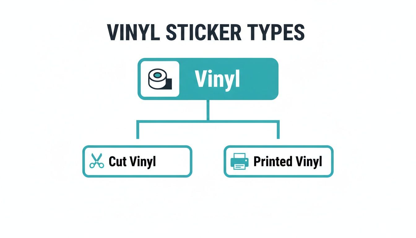 Flowchart illustrating vinyl sticker types: Cut Vinyl and Printed Vinyl, branching from a main 'Vinyl' category.