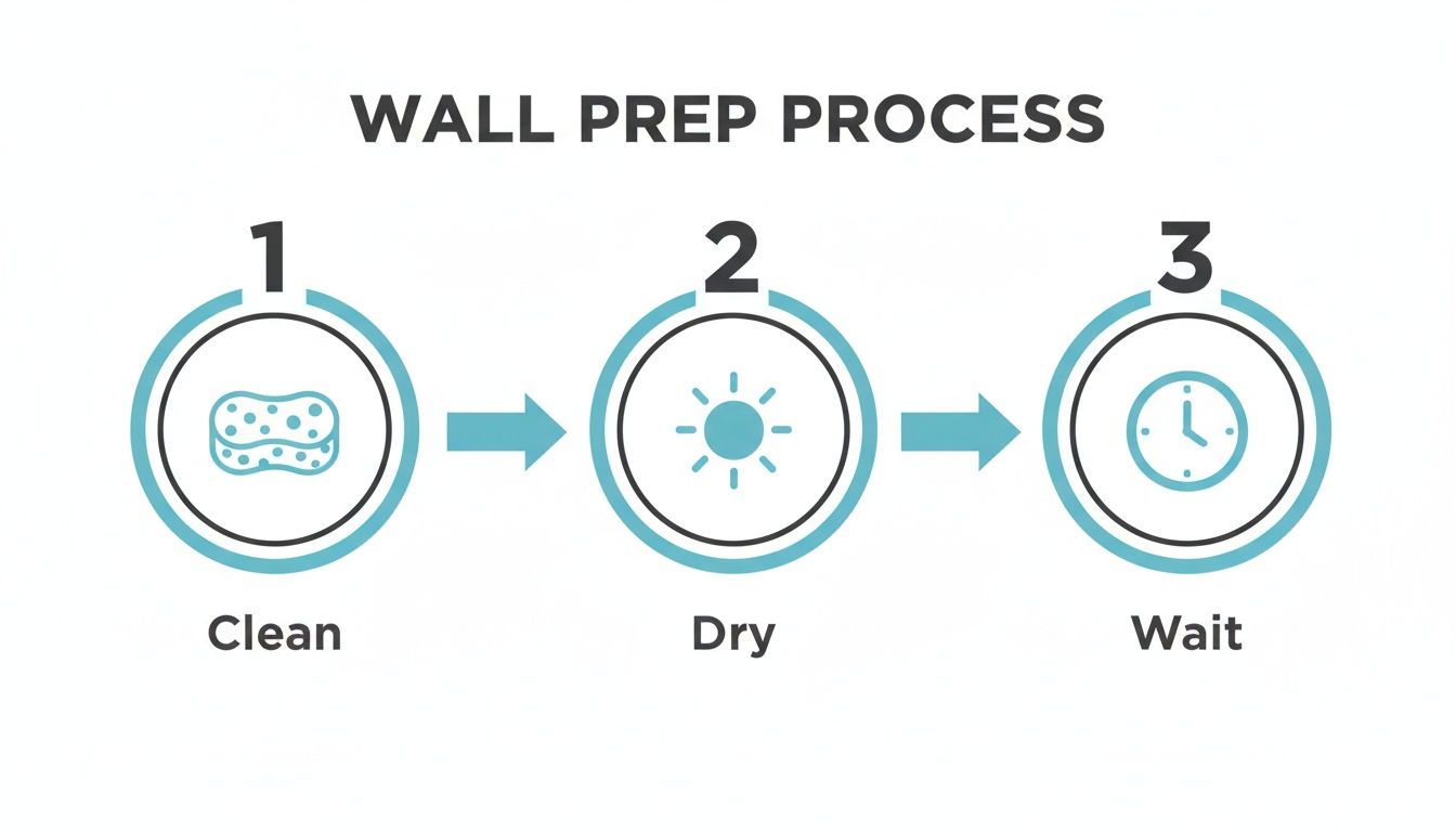 Infographic detailing three steps for wall preparation: clean with a sponge, dry, then wait.