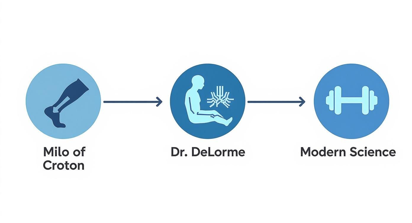 A diagram showing the progression of resistance training from Milo of Croton to Dr. DeLorme and modern science.