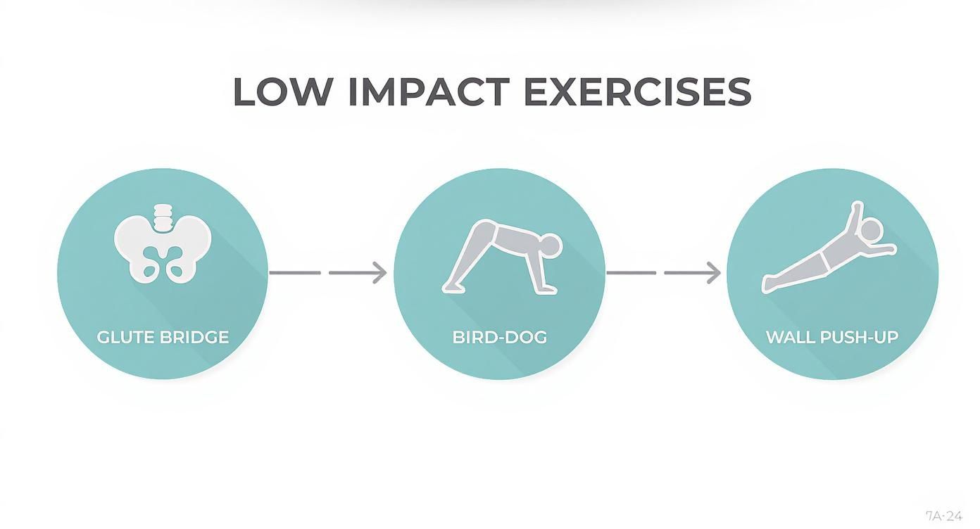 Infographic about low impact strength training exercises