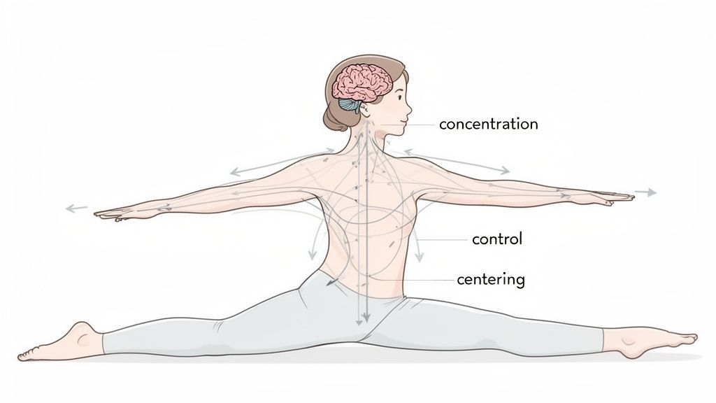 Diagram of a person in a full split, illustrating concentration, control, and centering for improved posture.