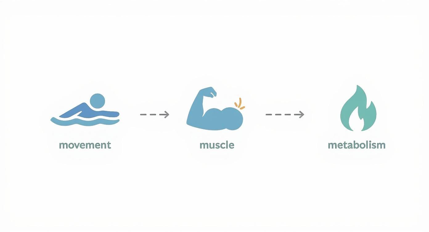 Infographic about best low impact workout for weight loss