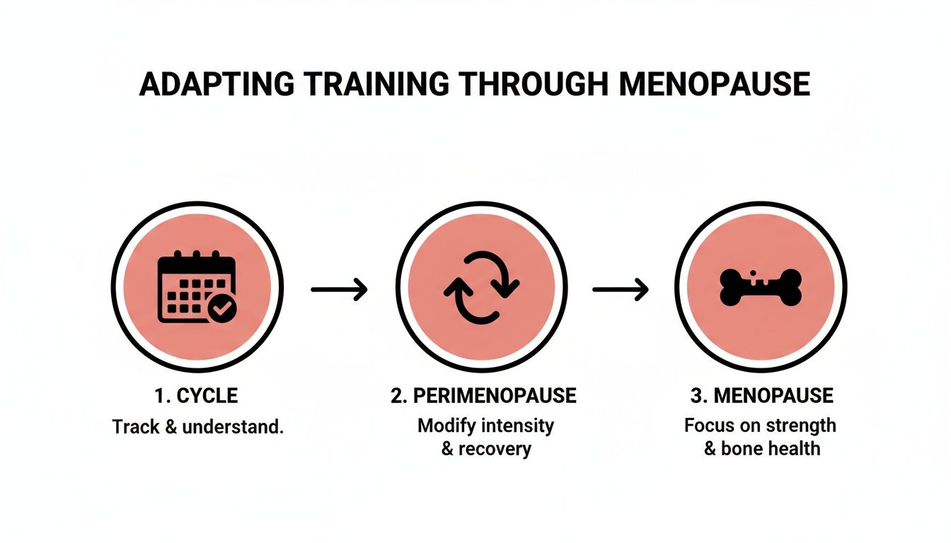Flowchart on adapting training through menopause, detailing steps for cycle, perimenopause, and menopause stages.