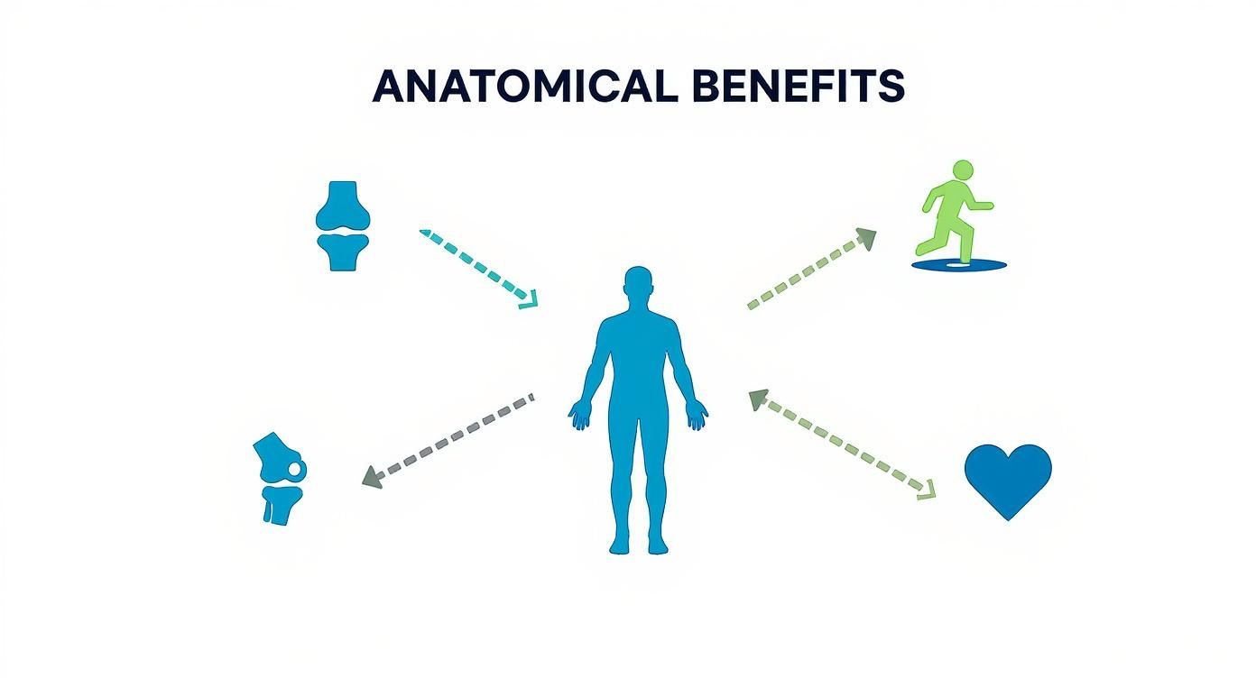 Infographic about best low impact workouts