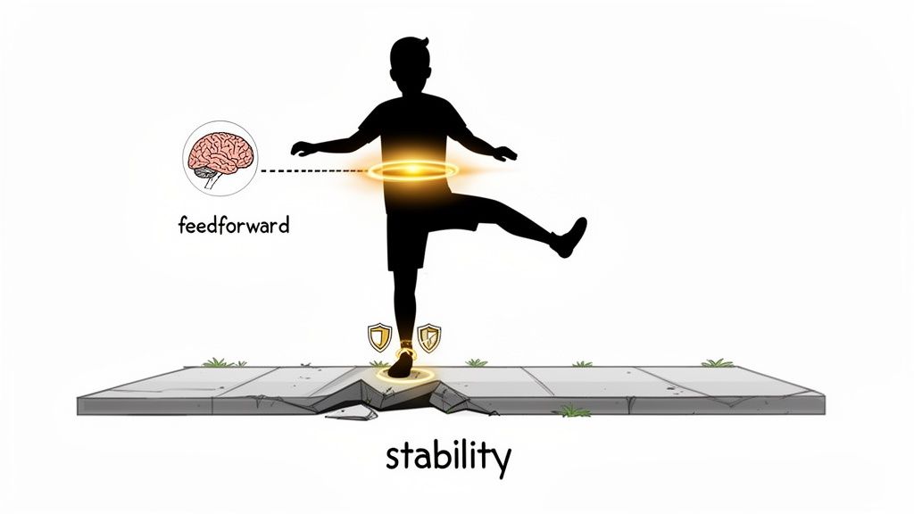 Silhouette of a person balancing on one leg, showing feedforward control from the brain for core stability.