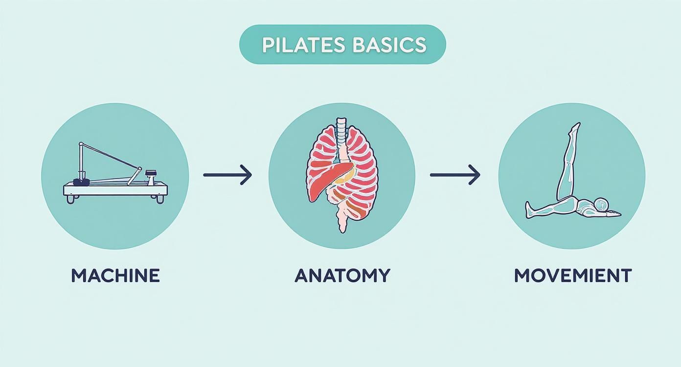 Infographic about pilates reformer exercise