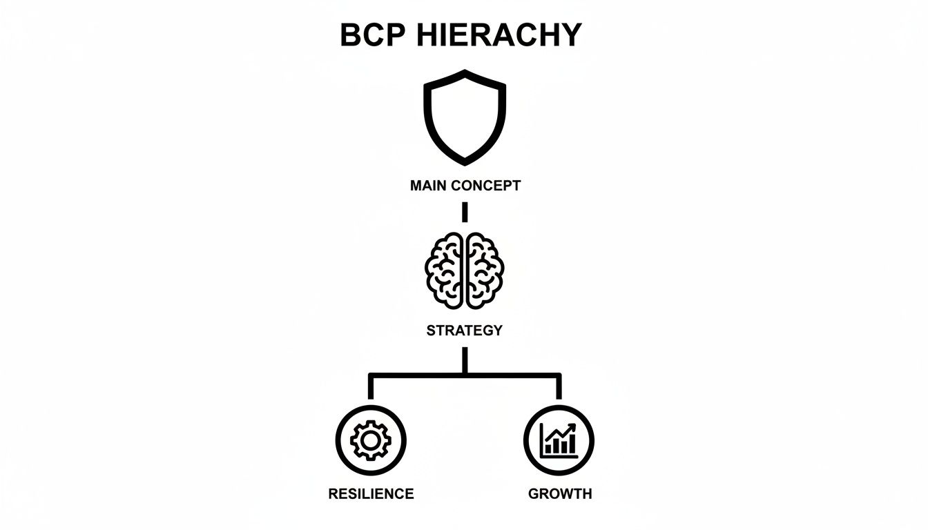 A clear hierarchy diagram showing Business Continuity Planning (BCP) from main concept and strategy to resilience and growth.