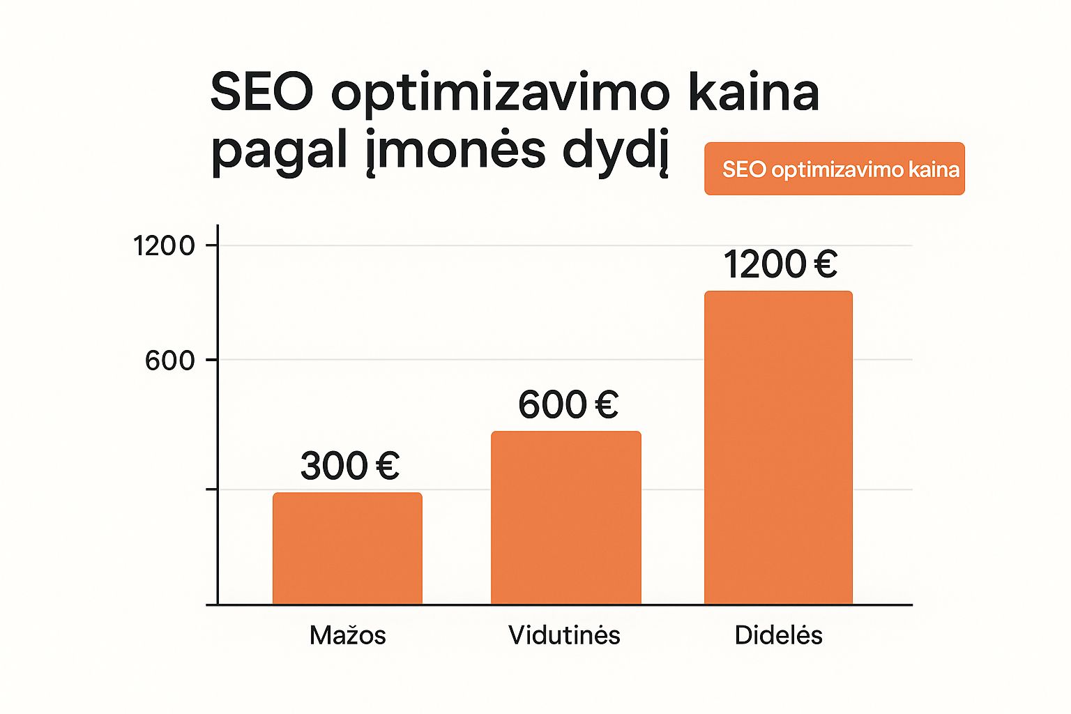 Infographic about seo optimizavimas kaina