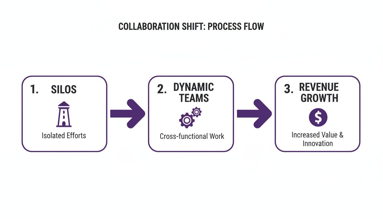 A three-step process flow illustrates the shift from silos to dynamic teams, leading to revenue growth.