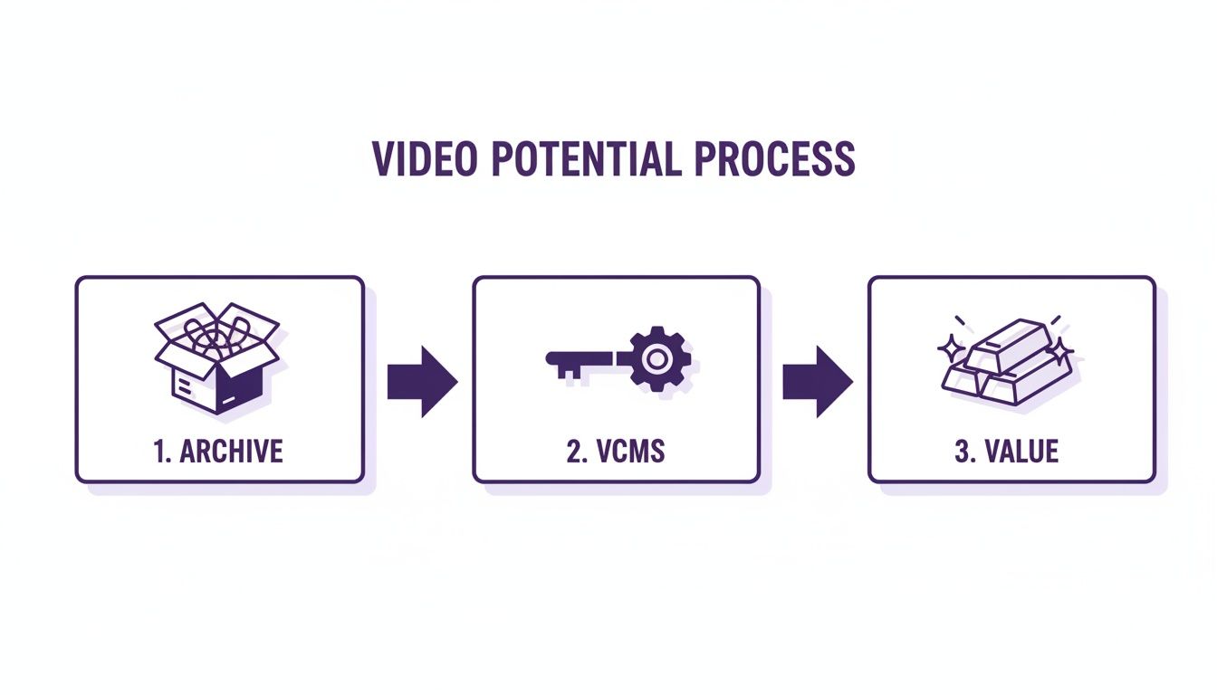 Flowchart illustrating the Video Potential Process: from archive through VCMS to generated value.