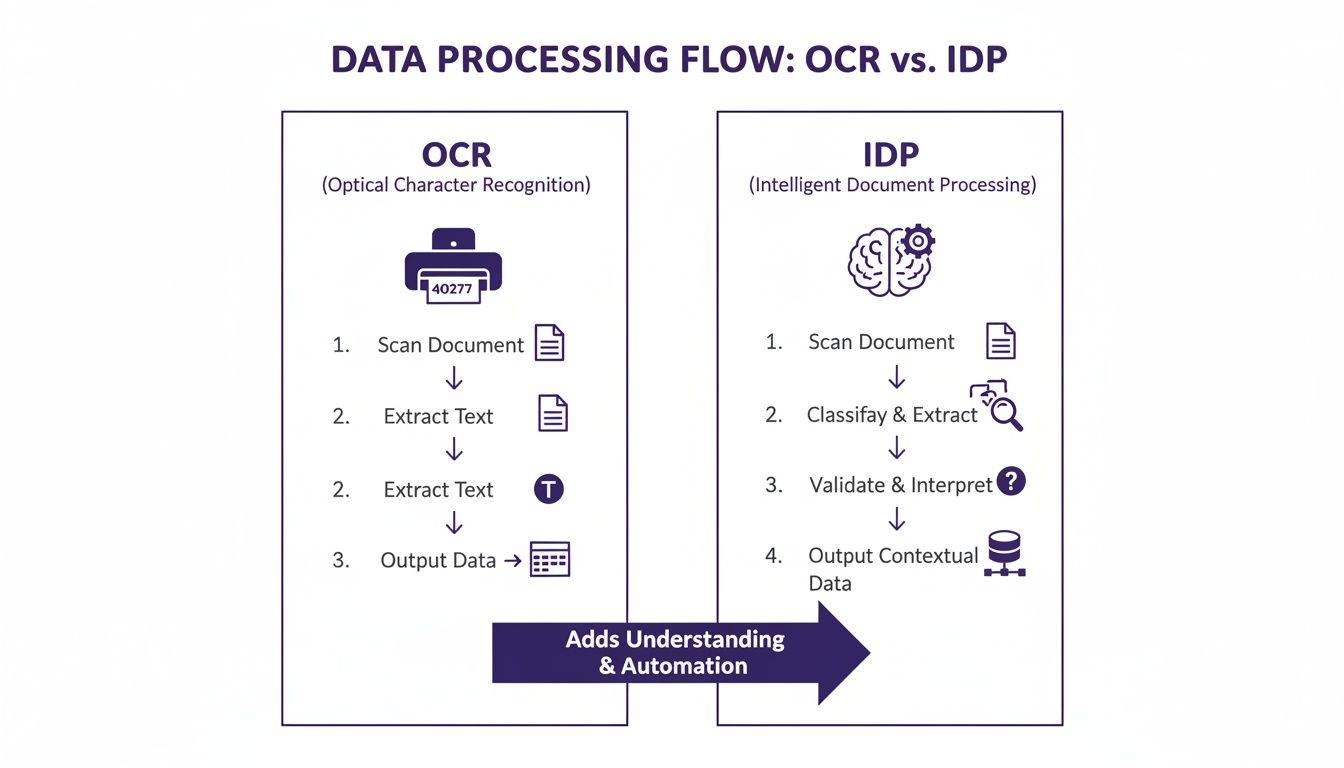 Diagram comparing OCR and IDP data processing flows, illustrating IDP's advanced understanding and automation capabilities.