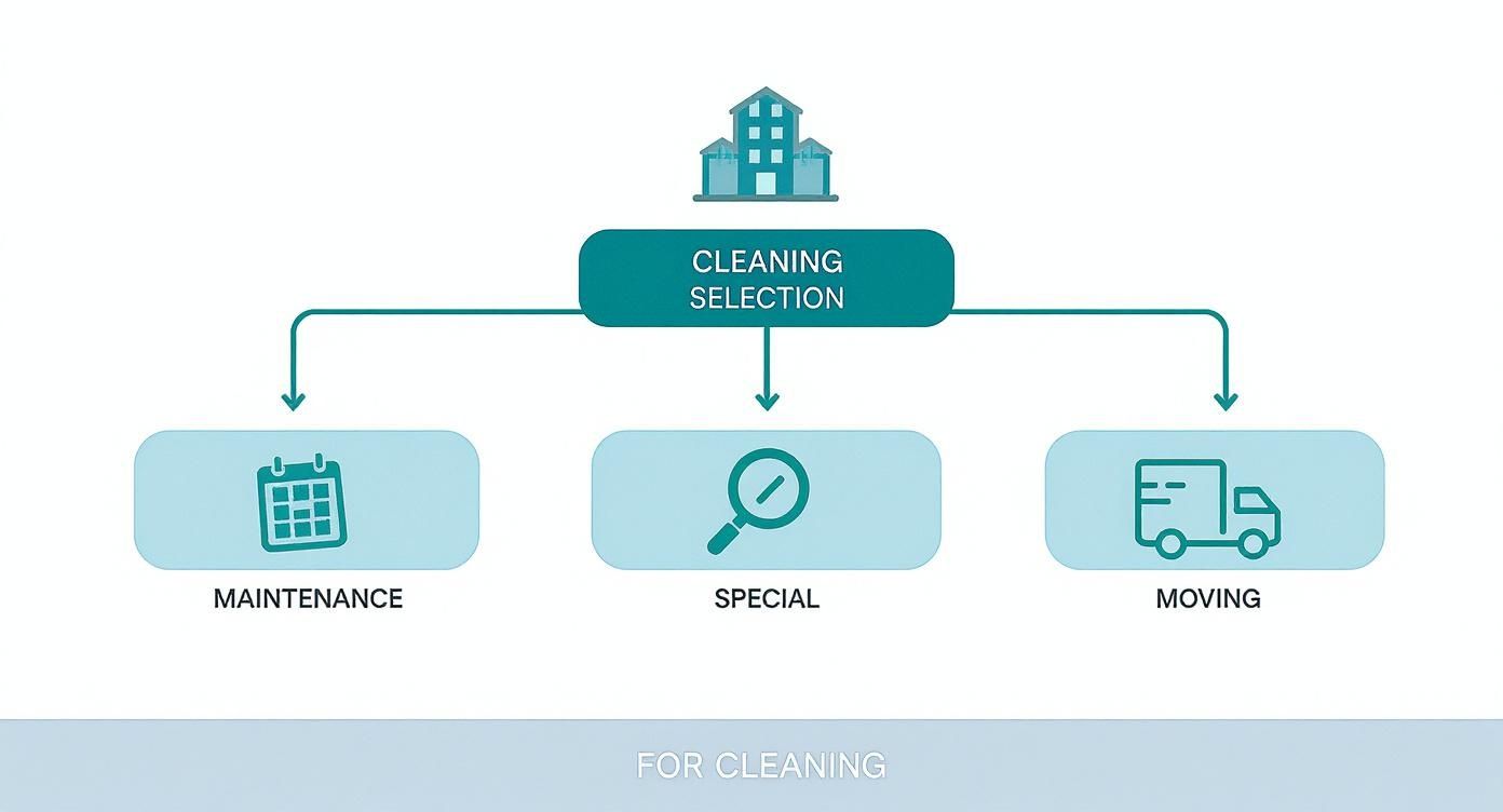 Infographic about reinigungsfirmen st gallen