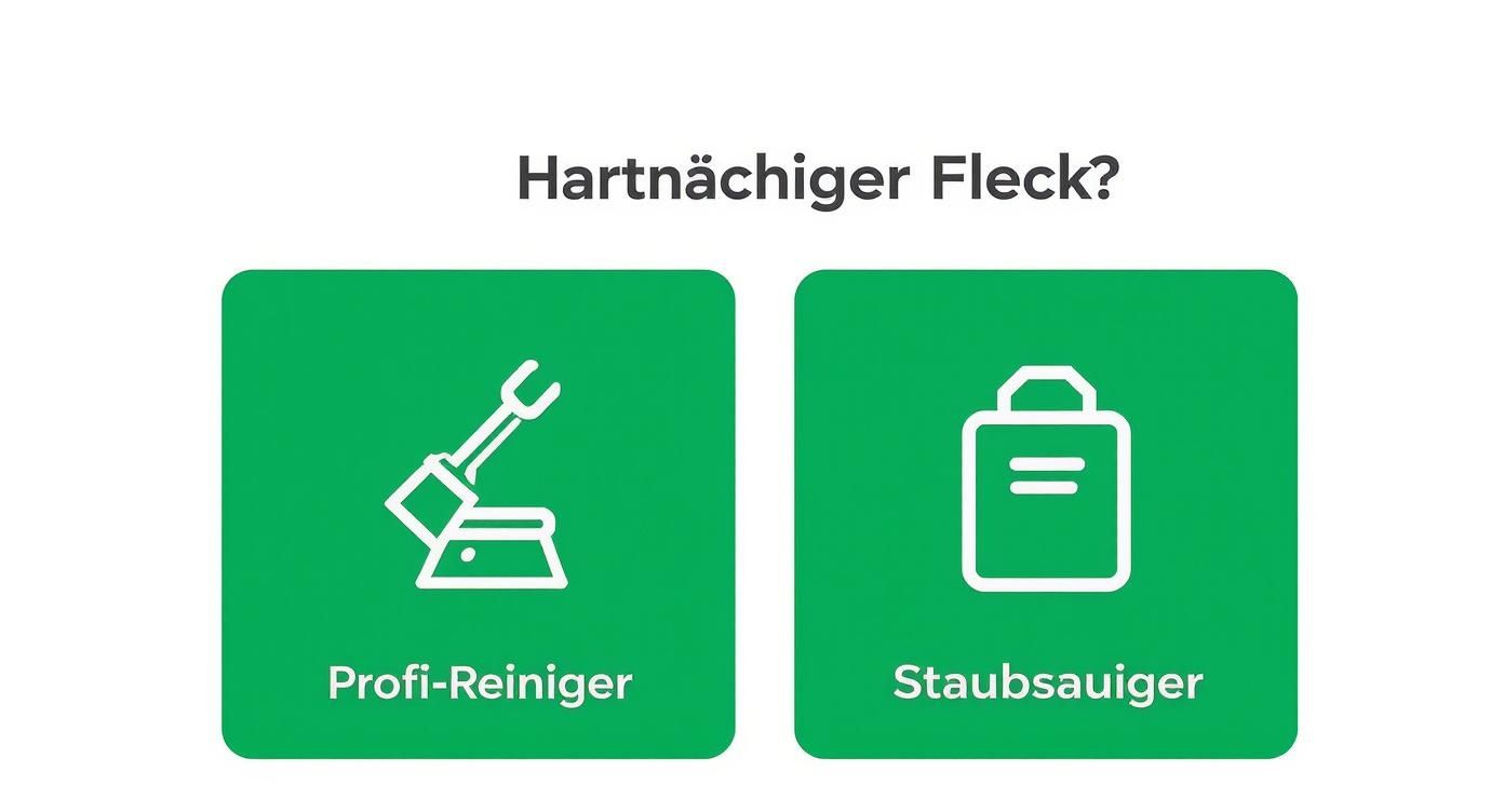 Frage "Hartnäckiger Fleck?" mit zwei Optionen: professioneller Reiniger und Staubsauger zur Teppichpflege.