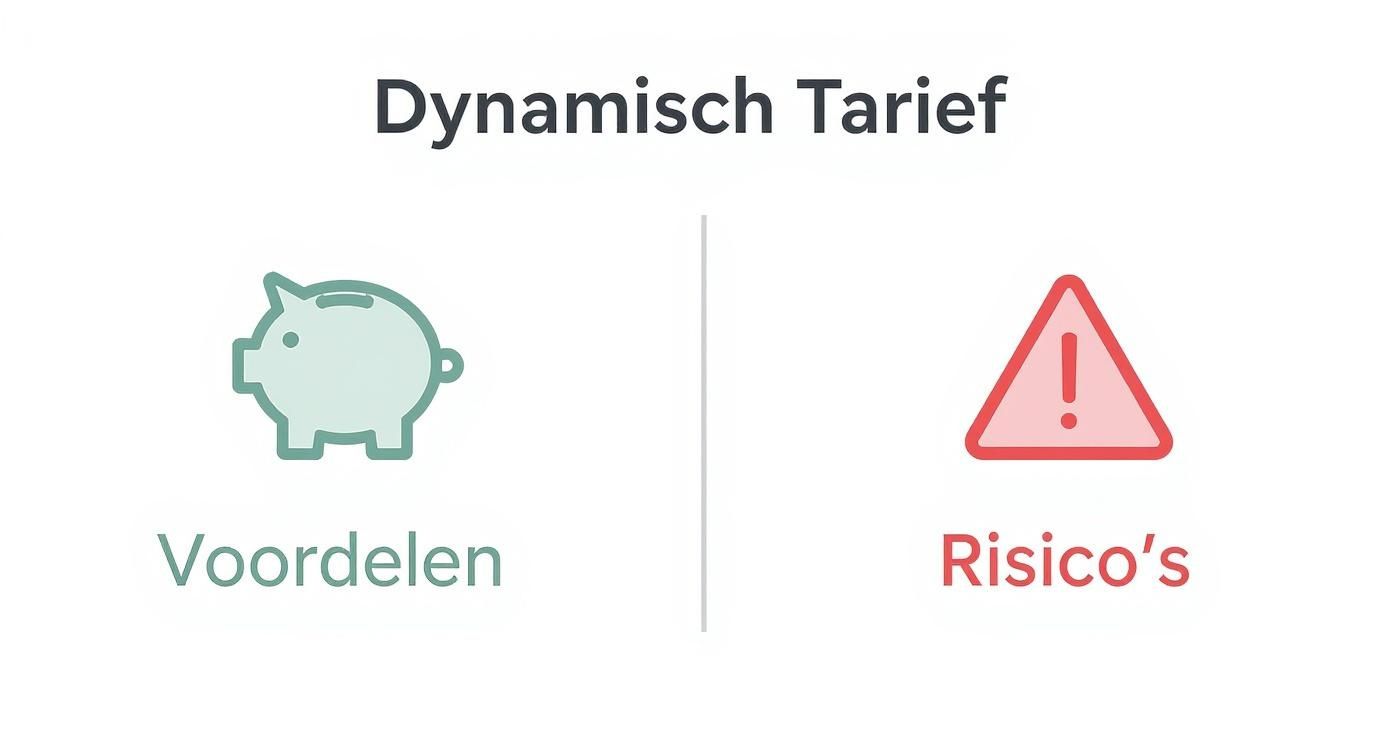 Conceptmap die de voordelen en risico's van een dynamisch tarief naast elkaar zet.