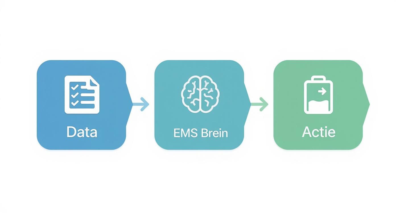 Stroomschema met drie stappen: Data, EMS Brein en Actie voor slimme batterijsturing
